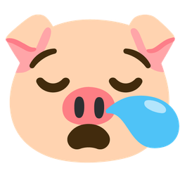 Pig face and Sleepy face