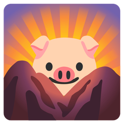 Pig face and Sunrise over mountains
