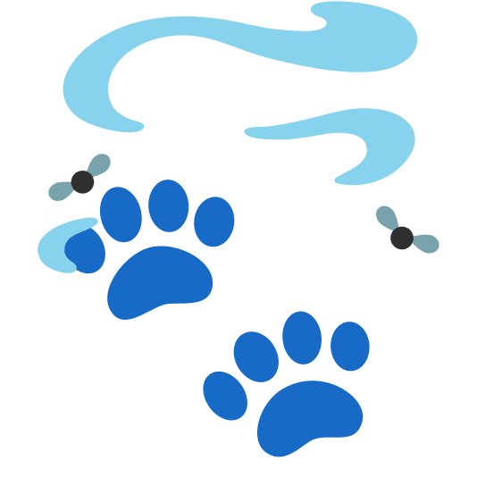 Pile of poo and Paw prints