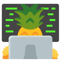 pineapple and laptop