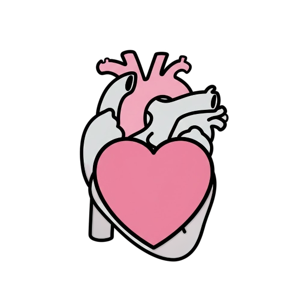 Pink heart and Anatomical heart