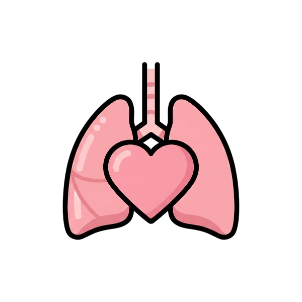 Pink heart and Lungs