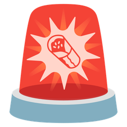 police car light and burrito