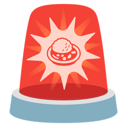 police car light and curry rice