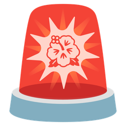 police car light and hibiscus