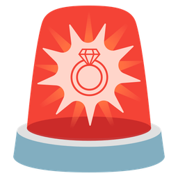 police car light and ring