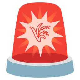 police car light and sheaf of rice