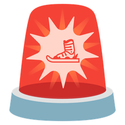 police car light and skis