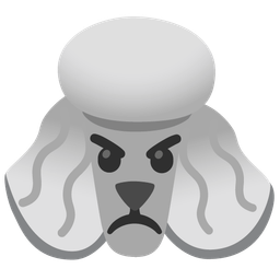 Poodle and Angry face