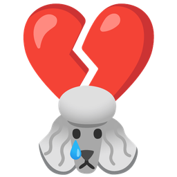 Poodle and Broken heart