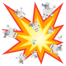 Poodle and Collision