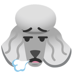 Poodle and Face exhaling