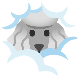 Poodle and Face in clouds