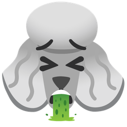 Poodle and Face vomiting
