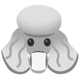 Poodle and Face with medical mask