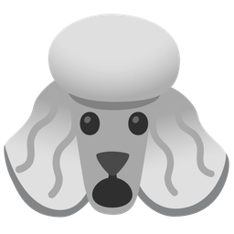 Poodle and Face with open mouth