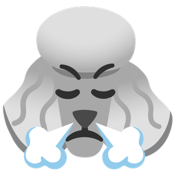 Poodle and Face with steam from nose