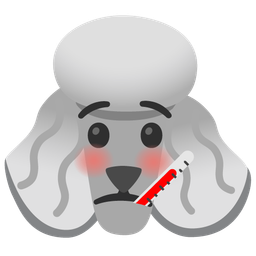 Poodle and Face with thermometer