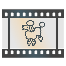 poodle and film frames