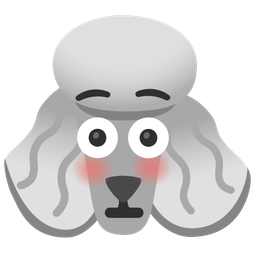 poodle and flushed face