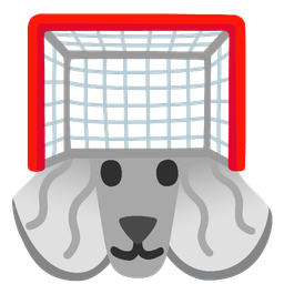 Poodle and Goal net