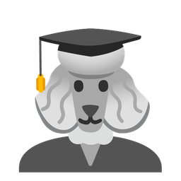 Poodle and Graduation cap