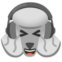 poodle and headphone