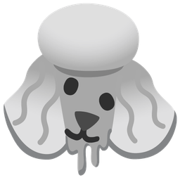 Poodle and Melting face