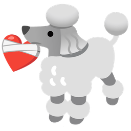 Poodle and Mending heart