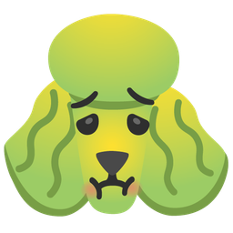 Poodle and Nauseated face