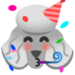 Poodle and Partying face