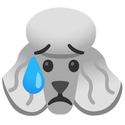 Poodle and Sad but relieved face