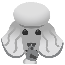 Poodle and Shushing face