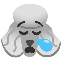 Poodle and Sleepy face