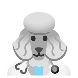Poodle and Stethoscope