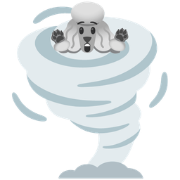 Poodle and Tornado