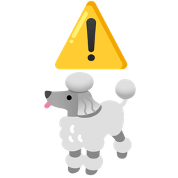 Poodle and Warning