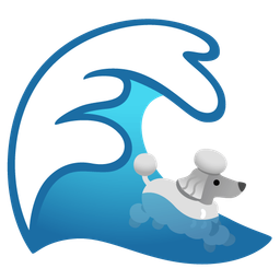 Poodle and Water wave