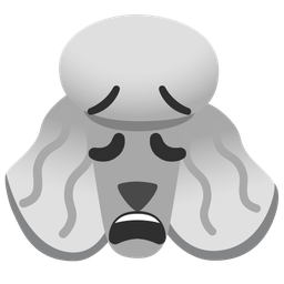 Poodle and Weary face