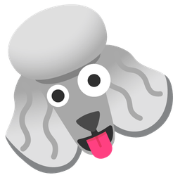 Poodle and Zany face