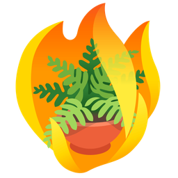 potted plant and fire