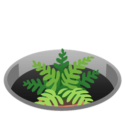 potted plant and hole