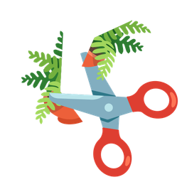 potted plant and scissors