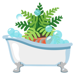 potted plant and soap