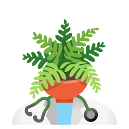 potted plant and stethoscope