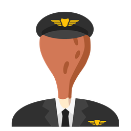 poultry leg and airplane