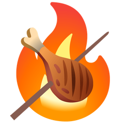 poultry leg and fire