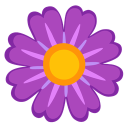 purple heart and blossom