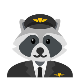 Raccoon and Airplane