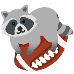 raccoon and american football